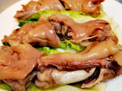 -丁老爷子苏香圆