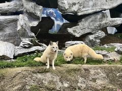 -杭州野生动物世界