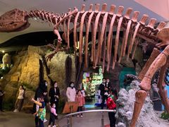 -陕西自然博物馆