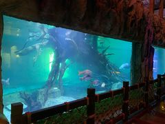 -华夏文旅海洋公园