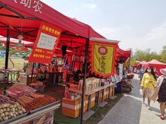 -秀丽东方