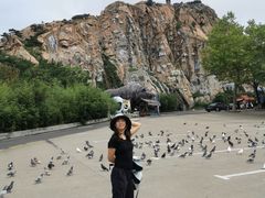 -西霞口神雕山野生动物世界