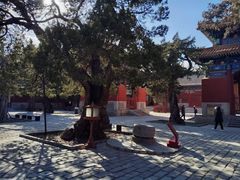-北京国子监胡同