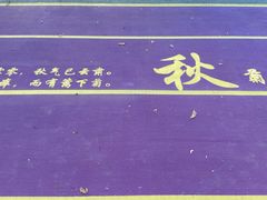 -尚贤河湿地