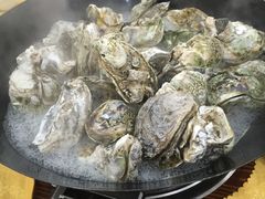 -蚝专家(北滘店)