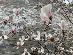 -东华门大街小区