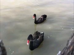 -长兴太湖图影湿地文化园