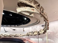 -自贡恐龙博物馆