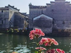 -东梓关景区村庄