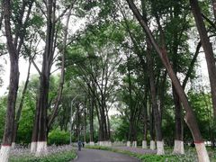 -西宁市人民公园(城西区)