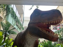 -宁波杉井奥特莱斯广场