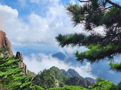 -黄山风景区