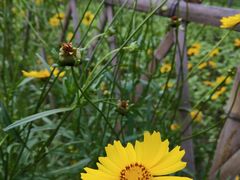 -雅鲁激流探险漂流