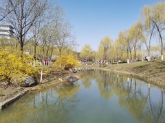 -灞河西岸滨河公园