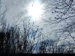 -新疆天山野生动物园