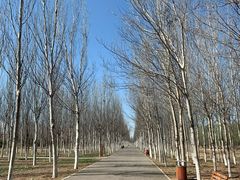 -东郊湿地公园