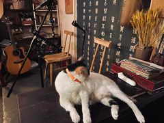 -江湖边·小生活