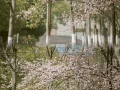 -杭州电子科技大学(下沙校区)