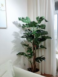 -尔素·半永久纹眉·野生眉