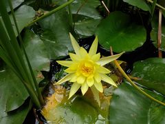 -呈贡滇池生态湿地公园