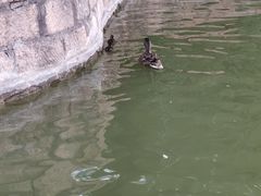 -团结湖公园