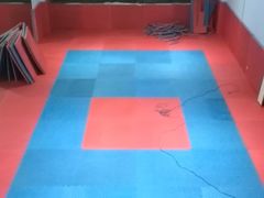 场馆-金翼跆拳道巴西柔术拳击格斗学院