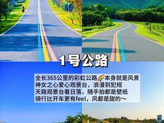 -紫藤园·天目湖大鱼头(南山竹海店)