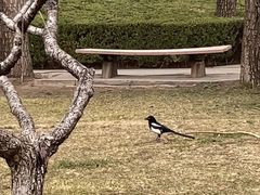 -元大都城垣遗址公园