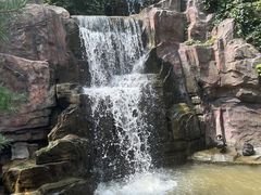 -燕塞湖鸟语林景区