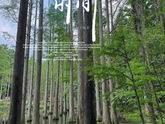 -波尔登森林公园