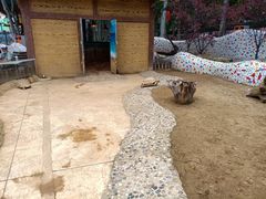 -辛玛王国游乐园