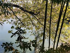 -金稼园·金平湖农家菜