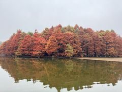 -尚湖风景区