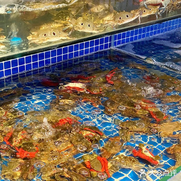 厦门石鼓路海鲜自助天花板｜海鲜时间
