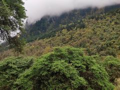 -海螺沟风景区