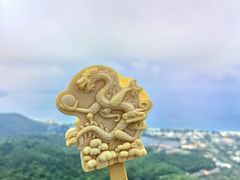 -亚龙湾热带天堂森林公园