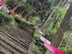 -莫干山风景区