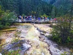 -黄龙山原始森林景区