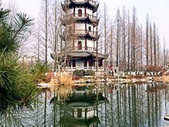 -桃花岛公园