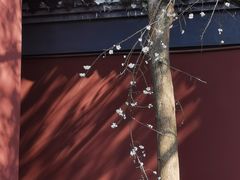 -钱王祠