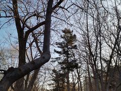 -元大都城垣遗址公园