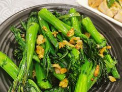 芥兰炒肥叉-粤·向群饭店(龙津东路总店)