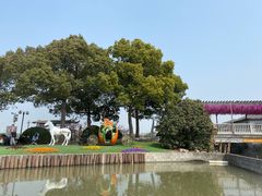 -苏州太湖西山岛开心农场