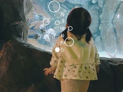 -福州罗源湾海洋世界旅游区