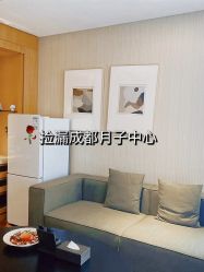 -明宇集团·积木枝芽母婴健康管理中心(天府店)