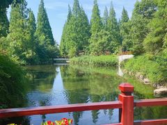 -东平国家森林公园