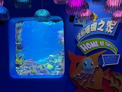 -欢乐海岸海洋奇梦馆