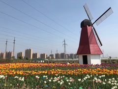 -菊园百果园