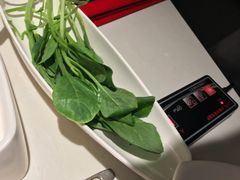 -海底捞火锅(公益西桥店)