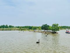 -宁波杭州湾国家湿地公园